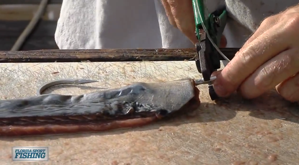 Rigging The Perfect Daytime Swordfish Bait Using Bonito – Diamond